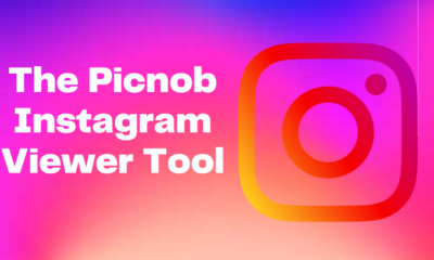 Picnob Instagram