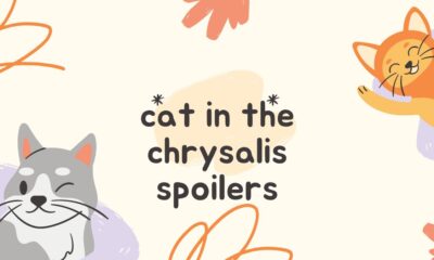 cat in the chrysalis spoilers