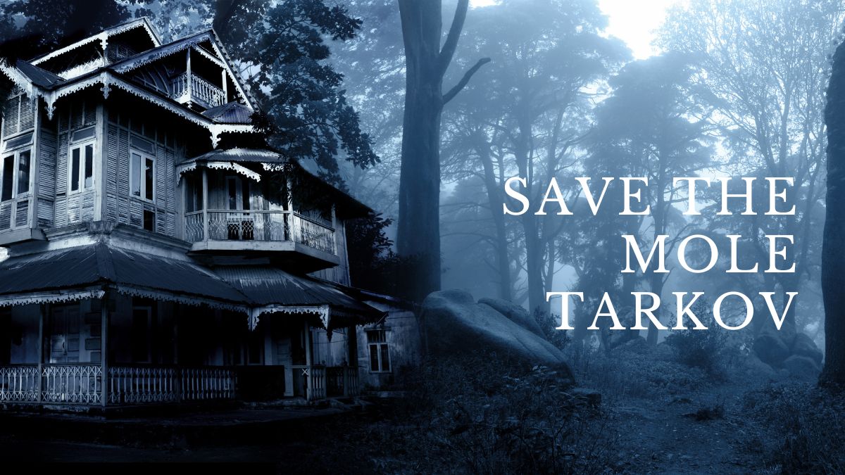 save the mole tarkov